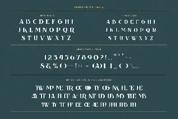 Havana Bold Serif font