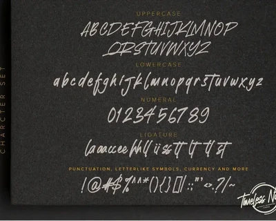 Timeless Nature - Authentic Handwritten Typeface font