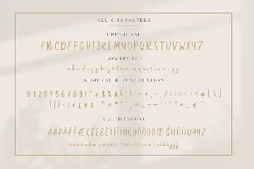 Belle Amour - Modern Calligraphy font