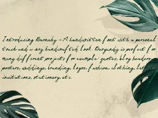 Barnaby Monoline Signature Font