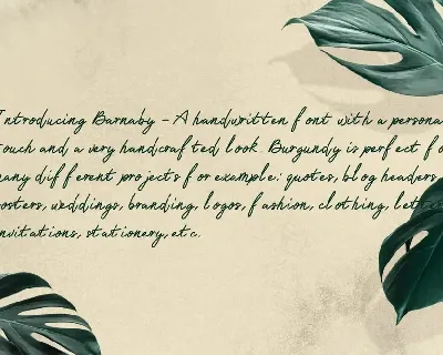 Barnaby Monoline Signature Font