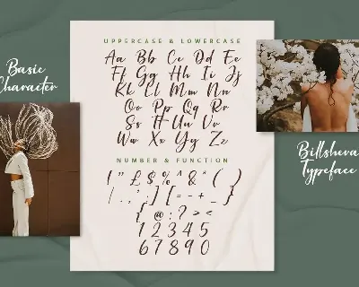 Billsheva Classy Script Font