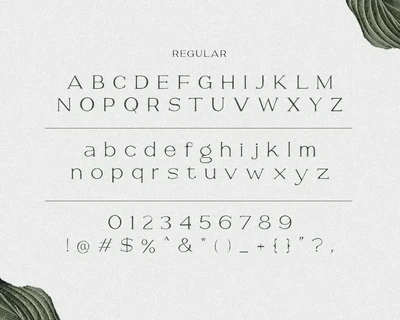 Savoire - Hand Lettered Serif font