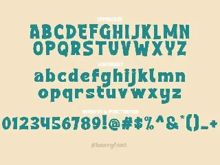 Heavy - Bold Font