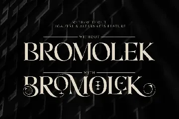 Bromolek - Luxury & Elegant Ligatures Serif font