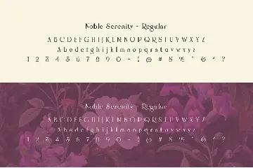 Noble Serenity - Elegant Wedding Typeface font