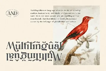 Dunsmuir - Modern Serif Font