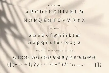 Dunsmuir - Modern Serif Font