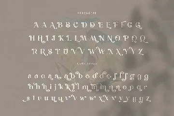 Dunsmuir - Modern Serif Font