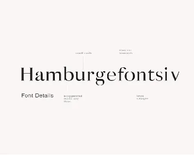 Minyi - A Feminine Serif Typeface font