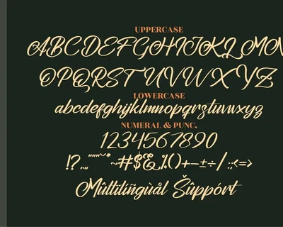 Stephenson Brandon Script font
