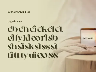 Bethasia - Beauty Elegant Aesthetic Wedding Serif font