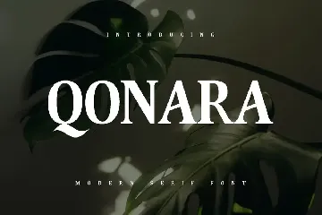 Qonara - Serif Font