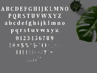 Qonara - Serif Font