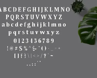 Qonara - Serif Font