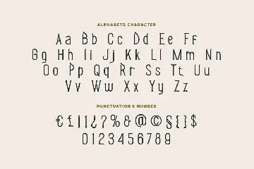 Ceihoms Condensed Font