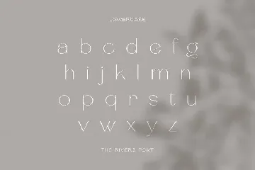 The Rivers - Modern Sans Font