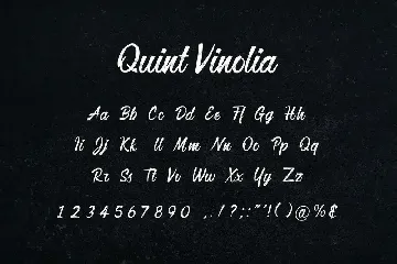 Quint Vinolia Calligraphy Font