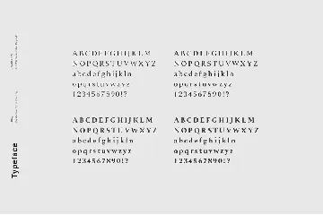 Alloy - A Sharp Serif Typeface font