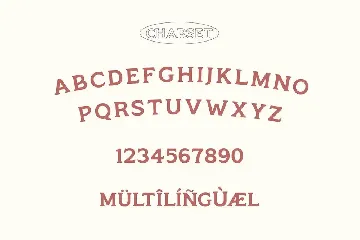 Monsier - Friendly Display Serif font