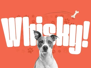 Werner Display font