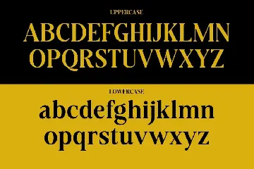 Modern Luxury Serif Font