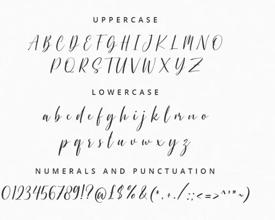 The Sunshine - Elegant Font