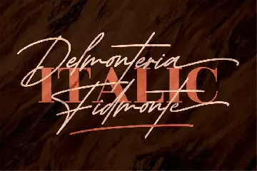 Delmonteria Fidmonte Monoline Signature font