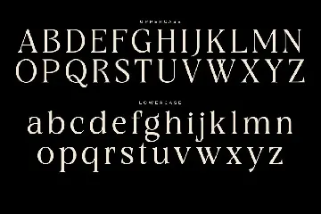Modern Elegant Serif Font