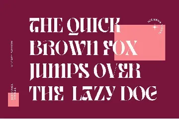 Vintage Fashion - Logo Font