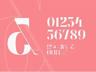 Vintage Fashion - Logo Font