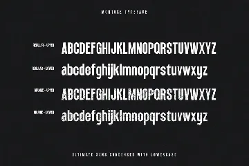 Montage | Vintage Sans font