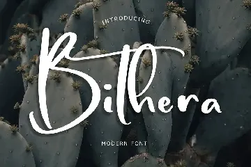 Bithera Modern Font
