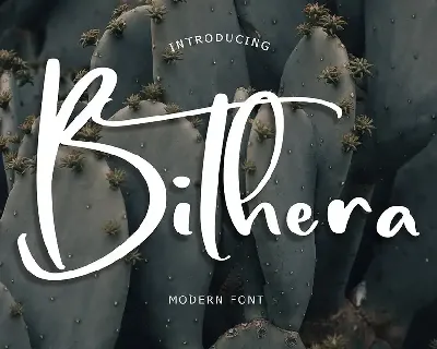 Bithera Modern Font