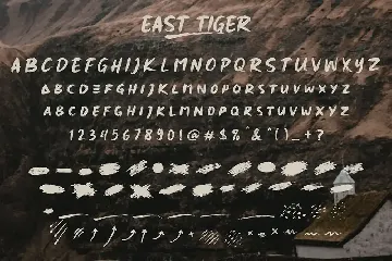 East Tiger - Authentic Brush Font