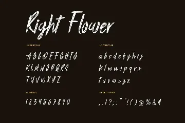 Right Flower Brush Handwritten Font