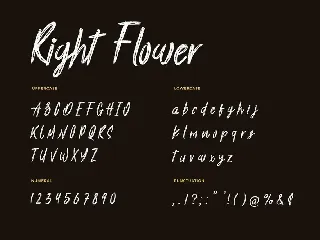 Right Flower Brush Handwritten Font