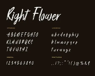 Right Flower Brush Handwritten Font