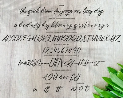 Catha | Modern Script Font