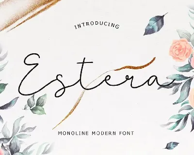 Estera Monoline Modern Font