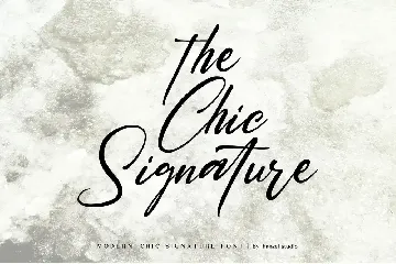 Saltacrus - Chic Signature Font