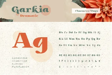 Garkia Font