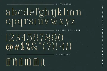 Ungaraca | Font Duo + Script