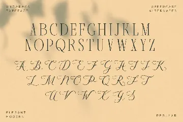 Ungaraca | Font Duo + Script