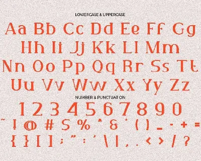 Virtus Verona - Duo Font