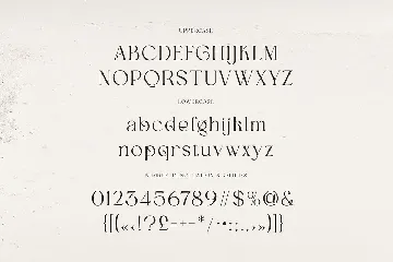 Biheastra Modern Serif font