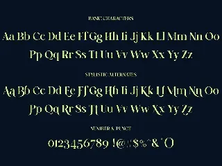 Rinoch | Serif Typeface font