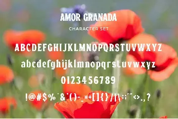 Amor Granada - Classic Display Serif font