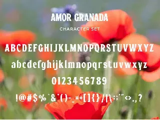 Amor Granada - Classic Display Serif font