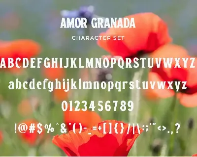 Amor Granada - Classic Display Serif font